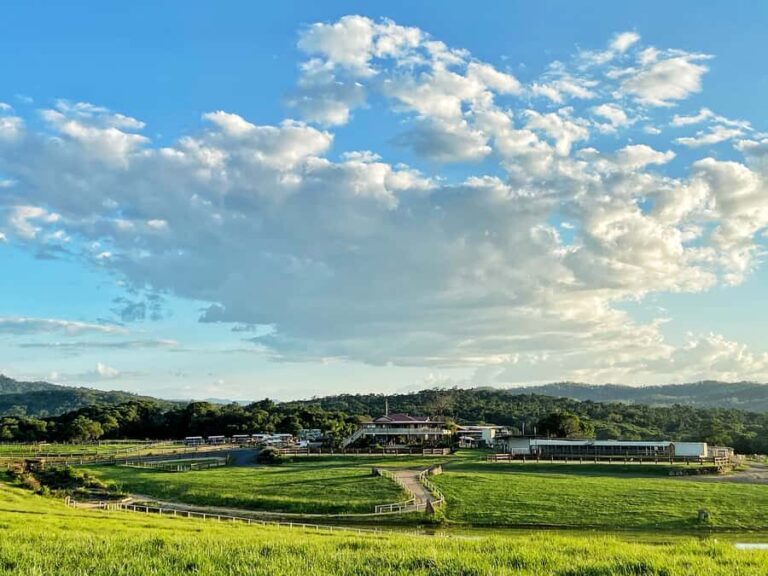 Kuranda: 60 minute Guided Horse Trail Ride & Petting Farm - The Itinerary Breakdown