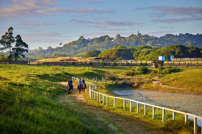 Kuranda 60 minute Horse Trail Ride and Petting Farm - The Sum Up