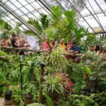 Kuranda: Australian Butterfly Sanctuary - Price and Value