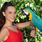 Kuranda: Birdworld Entry Ticket - Overview of Birdworld Kuranda