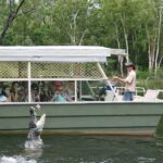 Kuranda & Hartley's Crocodile Adventures - Is It Worth the Price?