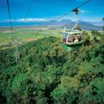 Kuranda, Skyrail & Gold Class Train from Cairns - Skyrail Rainforest Cableway: An Elevated Perspective
