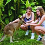 Kuranda Wildlife Experience Deluxe Multi Attraction Pass - How the Itinerary Works: Step-by-Step