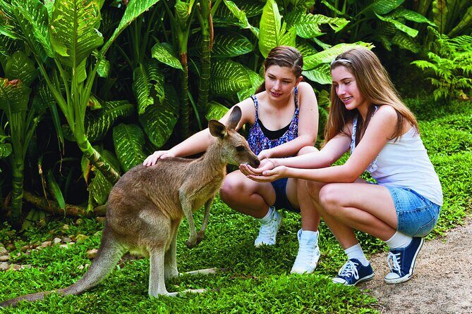 Kuranda Wildlife Experience Deluxe Multi Attraction Pass - How the Itinerary Works: Step-by-Step