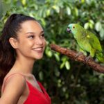 Kuranda Wildlife Experience: Koalas, Birds & Butterflies - The Value of the Experience