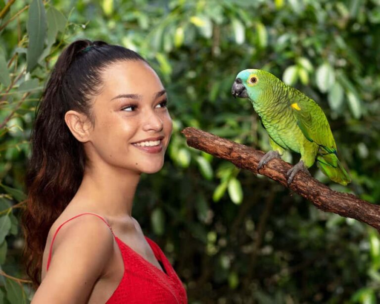 Kuranda Wildlife Experience: Koalas, Birds & Butterflies - The Value of the Experience