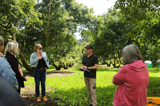 Kwizine Foodie Tour In Western Bay Of Plenty - Final Thoughts