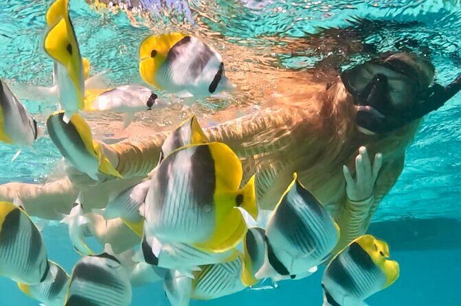 Lagoon and Marine Wildlife Tour in Moorea - Price and Value