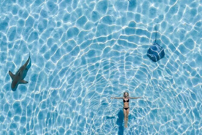 Lagoon and Wildlife Discovery on a Private Boat in Moorea - Evaluating Value and Cost