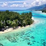 Lagoon Tour + lunch with your feet in the water on a Motu - Who Should Consider This Tour?