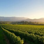 Laid back, Yarra Valley Wine Tour: Wine, Cider, Gin, Beer + Choc - FAQs