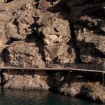 Lake Dunstan E-Bike Trail Adventure - Authentic Experiences and Feedback