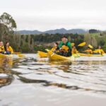 Lake Karapiro: Evening Kayak Glowworm Tour - An Overview of the Experience