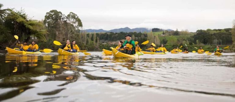 Lake Karapiro: Evening Kayak Glowworm Tour - An Overview of the Experience