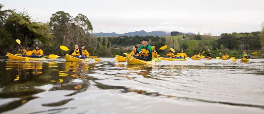 Lake Karapiro: Evening Kayak Glowworm Tour - An Overview of the Experience
