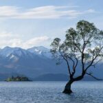 Lake Tekapo Private Day Trip from Queenstown - Who Is This Tour Best For?