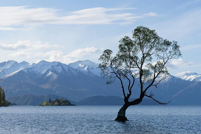 Lake Tekapo Private Day Trip from Queenstown - Who Is This Tour Best For?