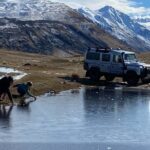 Lake Tekapo Scenic Wilderness Cass Valley Tour - The Practical Side: Scheduling and Logistics