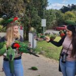 Lamington National Park, O'Reilly's & Vineyard Tour - What’s Included and What’s Not: Making the Most of Your Day