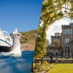 Larnach Castle & Otago Wildlife Cruise from Dunedin - What to Pack and What to Expect