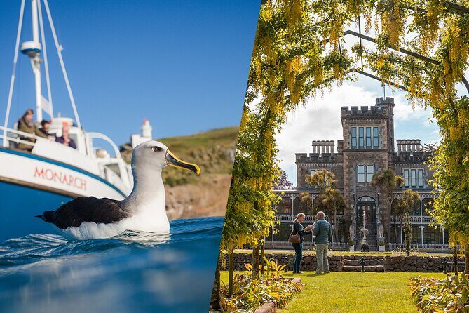 Larnach Castle & Otago Wildlife Cruise from Dunedin - What to Pack and What to Expect