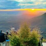 Late Start Blue Mountains Nature, Waterfalls, Koalas Small Group - The Experience of a Typical Day