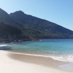 Launceston: Freycinet & Wineglass Bay Explorer Day Trip - Who is This Tour Best Suited For?