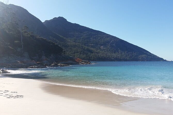 Launceston: Freycinet & Wineglass Bay Explorer Day Trip - Who is This Tour Best Suited For?