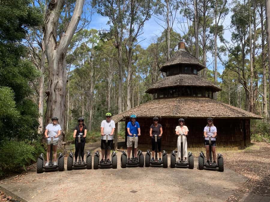 Launceston: Hollybank Forest Guided Segway Tour with Photos - The Sum Up