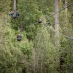 Launceston: Hollybank Forest Treetop Zip Lining with Guide - An In-Depth Look at the Hollybank Treetop Zip Lining Tour