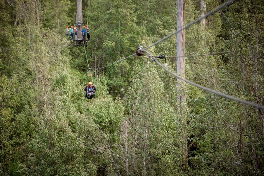 Launceston: Hollybank Forest Treetop Zip Lining with Guide - An In-Depth Look at the Hollybank Treetop Zip Lining Tour