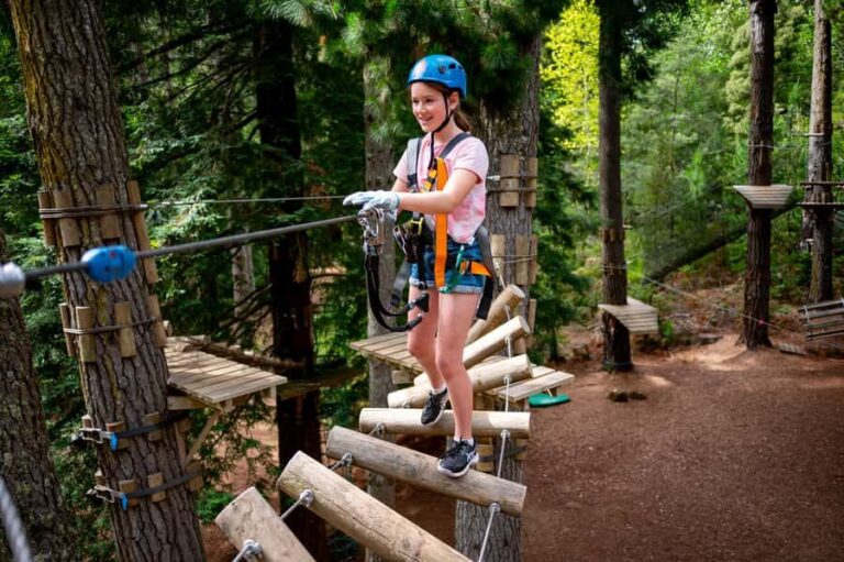 Launceston: Hollybank Tree Ropes Course - The Experience Breakdown