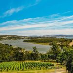 Launceston: Tamar Valley Wine Tour with Lunch - An In-Depth Look at the Tamar Valley Wine Tour