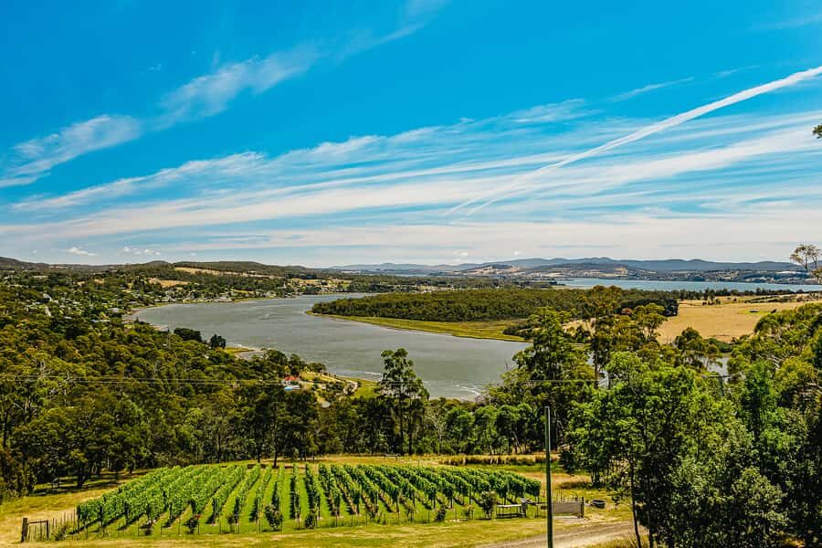 Launceston: Tamar Valley Wine Tour with Lunch - An In-Depth Look at the Tamar Valley Wine Tour