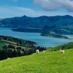 Lava Loop- Guided electric mountain bike tour in Akaroa - Final Thoughts: Is This Tour Right for You?