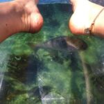 Leigh: Goat Island Clear Kayak Rental - Final Thoughts: Is it Worth It?