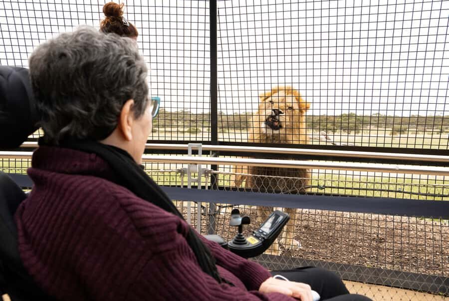 Lions 360 Experience and a Day at Monarto Safari Park - Exploring Monarto Safari Park and the Lions 360 Experience