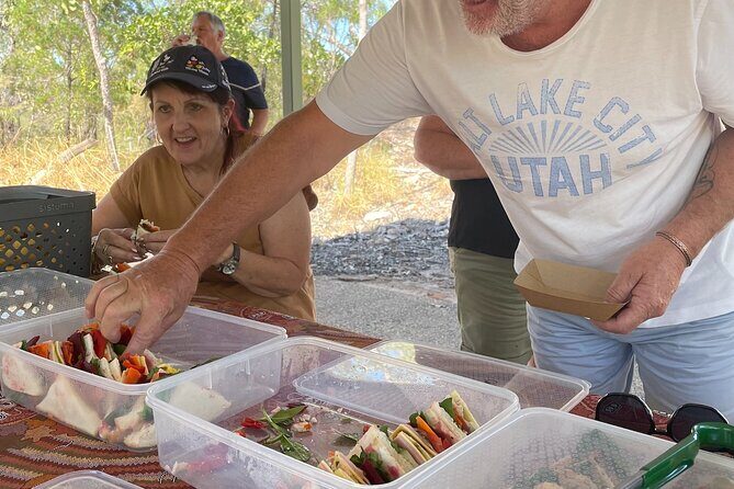 Litchfield & Berry Springs VIP Adventure Day Tours (group of 11) - Transport and Comfort