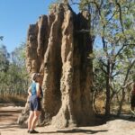 Litchfield National Park Day Tour & Berry Springs, Max 11 Guests - Florence Falls: The Icon of Waterfalls and Scenic Views
