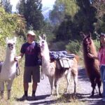 Llama Trek (Taster) - Kowhai River Valley and Native Woodland Tour - The practicalities: what you need to know