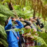 Luxe Bus Great Ocean Road Coastal Spectacular - Wildlife and Lunch at Wildlife Wonders