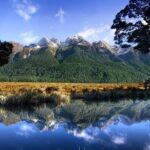 Luxury Milford Sound Coach and Scenic Cruise - What Makes This Tour Stand Out?