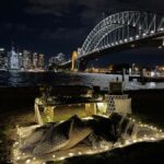 Luxury Picnic for 2 with Sydney Harbour Views at Kirribilli - Price and Value
