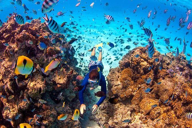 LUXURY PRIVATE Catamaran Bora Bora : Half-Day Trip - Why This Tour Shines