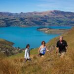 Luxury Private Guided Crater Rim Walk on Banks Peninsula - Key Points