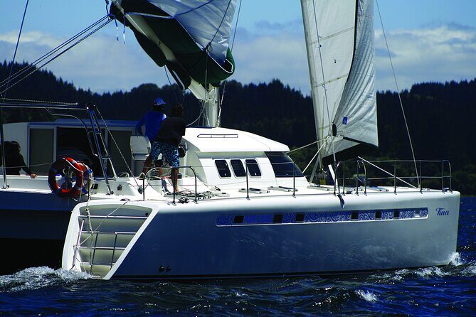 Luxury Sailing - Mori Rock Carvings - Taupo Sailing Adventures - Why This Tour Works