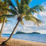 Luxury Van, Private Transfer, Cairns Airport - Palm Cove. - What to Expect During Your Ride