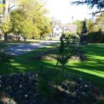 Lyttelton Cruise Excursions: Christchurch Sightseeing with Sheep Farm - What the Reviews Say