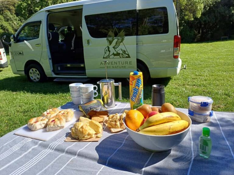 Lyttelton: Shore Excursion, Castle Hill & Inland Canterbury - What’s Included and Practical Details