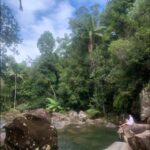 Mackay: Finch Hatton Gorge Hike, Swim & Platypus Adventure - What Makes This Tour Stand Out?